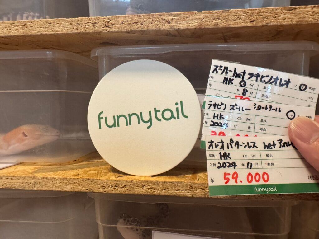 ニシアフ専門店ファニーテールの値段はモルフ・性別・成長で決まる