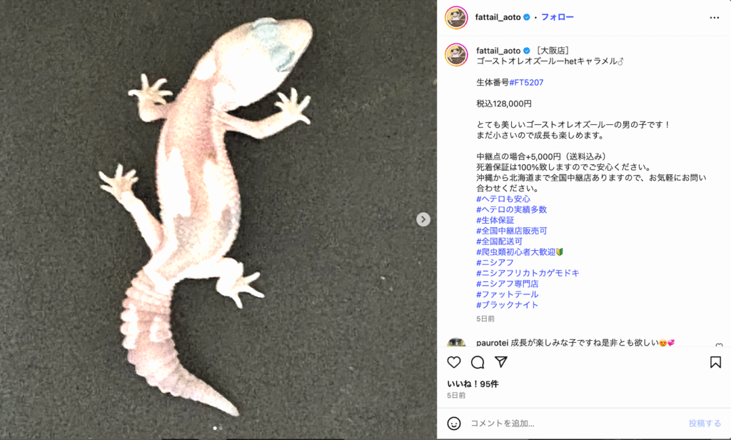 ニシアフ専門店ファットテール:公式Instagram