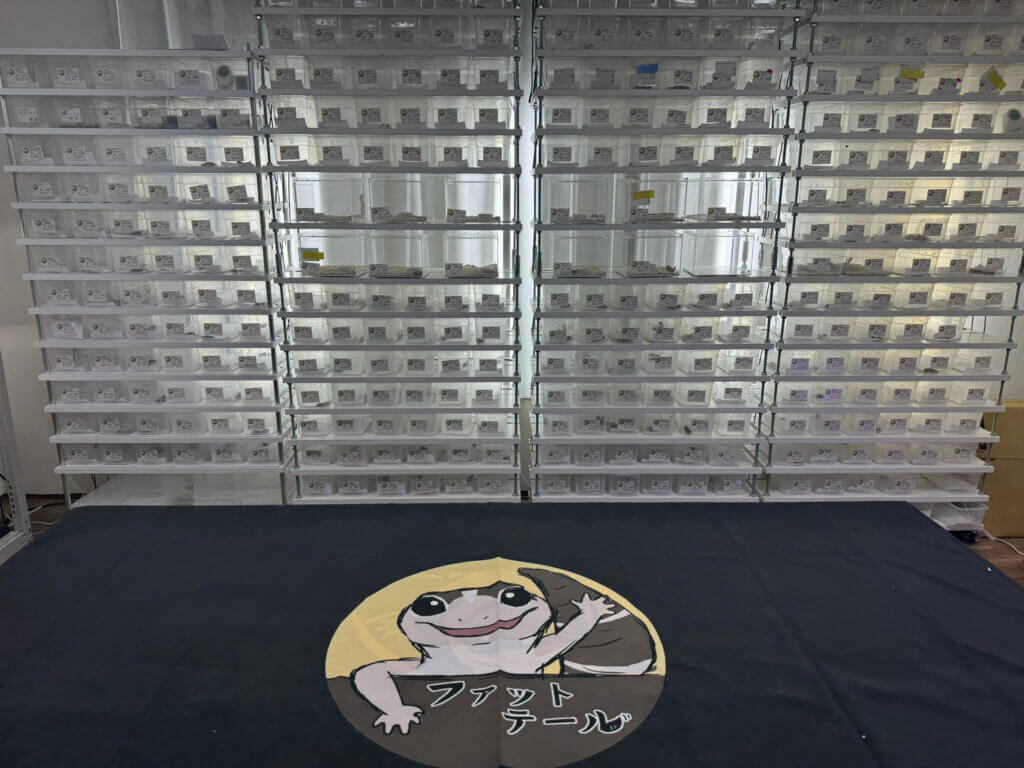 東京の専門店ファットテール高品質で安心なニシアフの値段